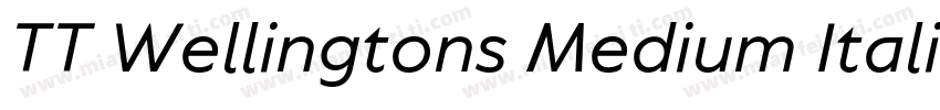 TT Wellingtons Medium Italic字体转换